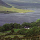 Ireland   –  June 16, 2002   (© P.J. Stewart & A.J. Strathern Archive)